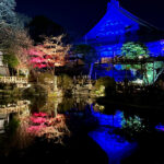 【画像】箱根駅伝で知られる神奈川県藤沢市の遊行寺で開山700年を祝うライトアップが艶麗でした 〜 画像1