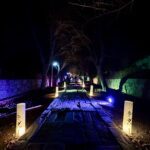 【画像】箱根駅伝で知られる神奈川県藤沢市の遊行寺で開山700年を祝うライトアップが艶麗でした 〜 画像1