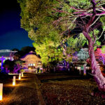 【画像】箱根駅伝で知られる神奈川県藤沢市の遊行寺で開山700年を祝うライトアップが艶麗でした 〜 画像1