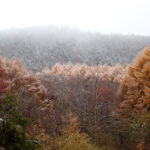 【画像】白銀の世界を満喫するスノーシーズンがいよいよ開幕！　今季初の「スノーハイク」と新蕎麦を求めて志賀高原へ 〜 画像1