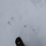 【画像】白銀の世界を満喫するスノーシーズンがいよいよ開幕！　今季初の「スノーハイク」と新蕎麦を求めて志賀高原へ 〜 画像1