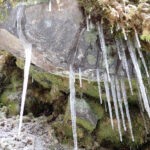 【画像】白銀の世界を満喫するスノーシーズンがいよいよ開幕！　今季初の「スノーハイク」と新蕎麦を求めて志賀高原へ 〜 画像1