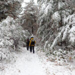 【画像】白銀の世界を満喫するスノーシーズンがいよいよ開幕！　今季初の「スノーハイク」と新蕎麦を求めて志賀高原へ 〜 画像1
