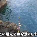 【画像】難攻不落の水道に潜むのは「怪物」!?　荒波押し寄せる岩場で奮闘した2日間に密着 〜 画像1