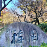 【画像】日本一遅い紅葉が自慢の熱海梅園！　今大人気観光地熱海で紅葉狩りをたっぷり楽しんで来ました 〜 画像1