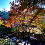 【画像】日本一遅い紅葉が自慢の熱海梅園！　今大人気観光地熱海で紅葉狩りをたっぷり楽しんで来ました 〜 画像1
