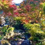 【画像】日本一遅い紅葉が自慢の熱海梅園！　今大人気観光地熱海で紅葉狩りをたっぷり楽しんで来ました 〜 画像1