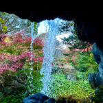 【画像】日本一遅い紅葉が自慢の熱海梅園！　今大人気観光地熱海で紅葉狩りをたっぷり楽しんで来ました 〜 画像1