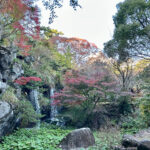 【画像】日本一遅い紅葉が自慢の熱海梅園！　今大人気観光地熱海で紅葉狩りをたっぷり楽しんで来ました 〜 画像1