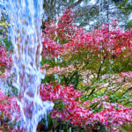 【画像】日本一遅い紅葉が自慢の熱海梅園！　今大人気観光地熱海で紅葉狩りをたっぷり楽しんで来ました 〜 画像1