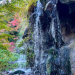 【画像】日本一遅い紅葉が自慢の熱海梅園！　今大人気観光地熱海で紅葉狩りをたっぷり楽しんで来ました 〜 画像1