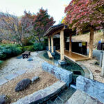 【画像】日本一遅い紅葉が自慢の熱海梅園！　今大人気観光地熱海で紅葉狩りをたっぷり楽しんで来ました 〜 画像1