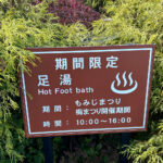 【画像】日本一遅い紅葉が自慢の熱海梅園！　今大人気観光地熱海で紅葉狩りをたっぷり楽しんで来ました 〜 画像1