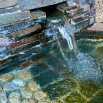 【画像】日本一遅い紅葉が自慢の熱海梅園！　今大人気観光地熱海で紅葉狩りをたっぷり楽しんで来ました 〜 画像1