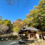 【画像】日本一遅い紅葉が自慢の熱海梅園！　今大人気観光地熱海で紅葉狩りをたっぷり楽しんで来ました 〜 画像1