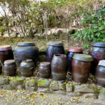 【画像】日本一遅い紅葉が自慢の熱海梅園！　今大人気観光地熱海で紅葉狩りをたっぷり楽しんで来ました 〜 画像1