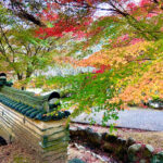 【画像】日本一遅い紅葉が自慢の熱海梅園！　今大人気観光地熱海で紅葉狩りをたっぷり楽しんで来ました 〜 画像1