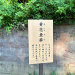 【画像】日本一遅い紅葉が自慢の熱海梅園！　今大人気観光地熱海で紅葉狩りをたっぷり楽しんで来ました 〜 画像1