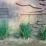 【画像】日本一遅い紅葉が自慢の熱海梅園！　今大人気観光地熱海で紅葉狩りをたっぷり楽しんで来ました 〜 画像1