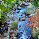 【画像】日本一遅い紅葉が自慢の熱海梅園！　今大人気観光地熱海で紅葉狩りをたっぷり楽しんで来ました 〜 画像1