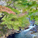 【画像】日本一遅い紅葉が自慢の熱海梅園！　今大人気観光地熱海で紅葉狩りをたっぷり楽しんで来ました 〜 画像1
