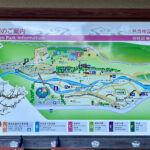 【画像】日本一遅い紅葉が自慢の熱海梅園！　今大人気観光地熱海で紅葉狩りをたっぷり楽しんで来ました 〜 画像1