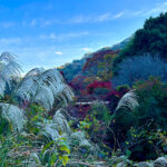 【画像】日本一遅い紅葉が自慢の熱海梅園！　今大人気観光地熱海で紅葉狩りをたっぷり楽しんで来ました 〜 画像1
