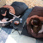 【画像】冬の夜を「極上ホテル」に変える！　Bears Rockの「布団のような寝袋」に新色ワイルドカーキが登場 〜 画像1