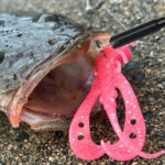 【画像】アウトドア 派“秘密の選択肢”に！　東大阪市のふるさと納税に「防水リュック」や「ウェーダー」など新たなラインナップを提供 〜 画像1