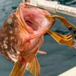 【画像】アウトドア 派“秘密の選択肢”に！　東大阪市のふるさと納税に「防水リュック」や「ウェーダー」など新たなラインナップを提供 〜 画像1