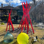 【画像】箱根でピカピカの「メリークリスマス！」　金時山登山の後は箱根ガラスの森美術館 〜 画像1