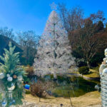 【画像】箱根でピカピカの「メリークリスマス！」　金時山登山の後は箱根ガラスの森美術館 〜 画像1