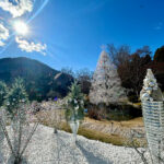【画像】箱根でピカピカの「メリークリスマス！」　金時山登山の後は箱根ガラスの森美術館 〜 画像1
