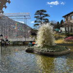 【画像】箱根でピカピカの「メリークリスマス！」　金時山登山の後は箱根ガラスの森美術館 〜 画像1