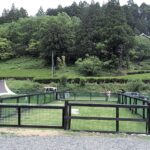 【画像】アウトドアなのに快適すぎ!?　ワクワクが止まらないトレーラーハウス泊3選【東海エリア】 〜 画像1