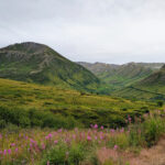 【画像】【連載コラム】聖地ヨセミテに魅せられて！ vol.24　氷河ハイキングでオーロラも満喫したい！　未完のアラスカ旅 〜 画像1