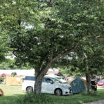 【画像】自然と動物に癒やされる！　触れ合い体験ができるキャンプ場3選【南関東エリア】 〜 画像1