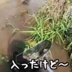 【画像】どんこを狙い川に突入！　プロの連携プレーで捕獲した意外な獲物に佐賀よかメンバーも驚きが隠せない 〜 画像1