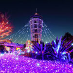 【画像】大切な人と出かけたい！ 　幻想的な「日本三大イルミネーション」の楽しみ方とは 〜 画像1