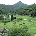 【画像】自然と食の豊かさを感じるひととき……　「農業体験」で見つける新しい癒やしのかたち【全国エリア】 〜 画像1