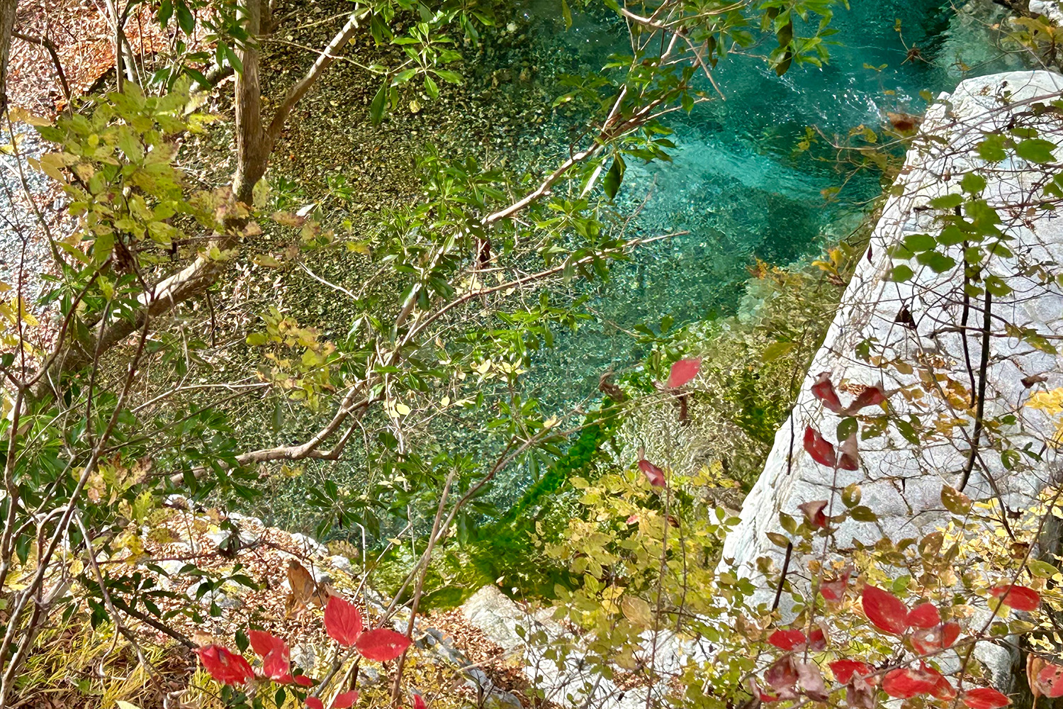 秋の渓谷ハイキング！　神奈川県山北町のユーシン渓谷で魅惑のユーシンブルーと紅葉美色三昧