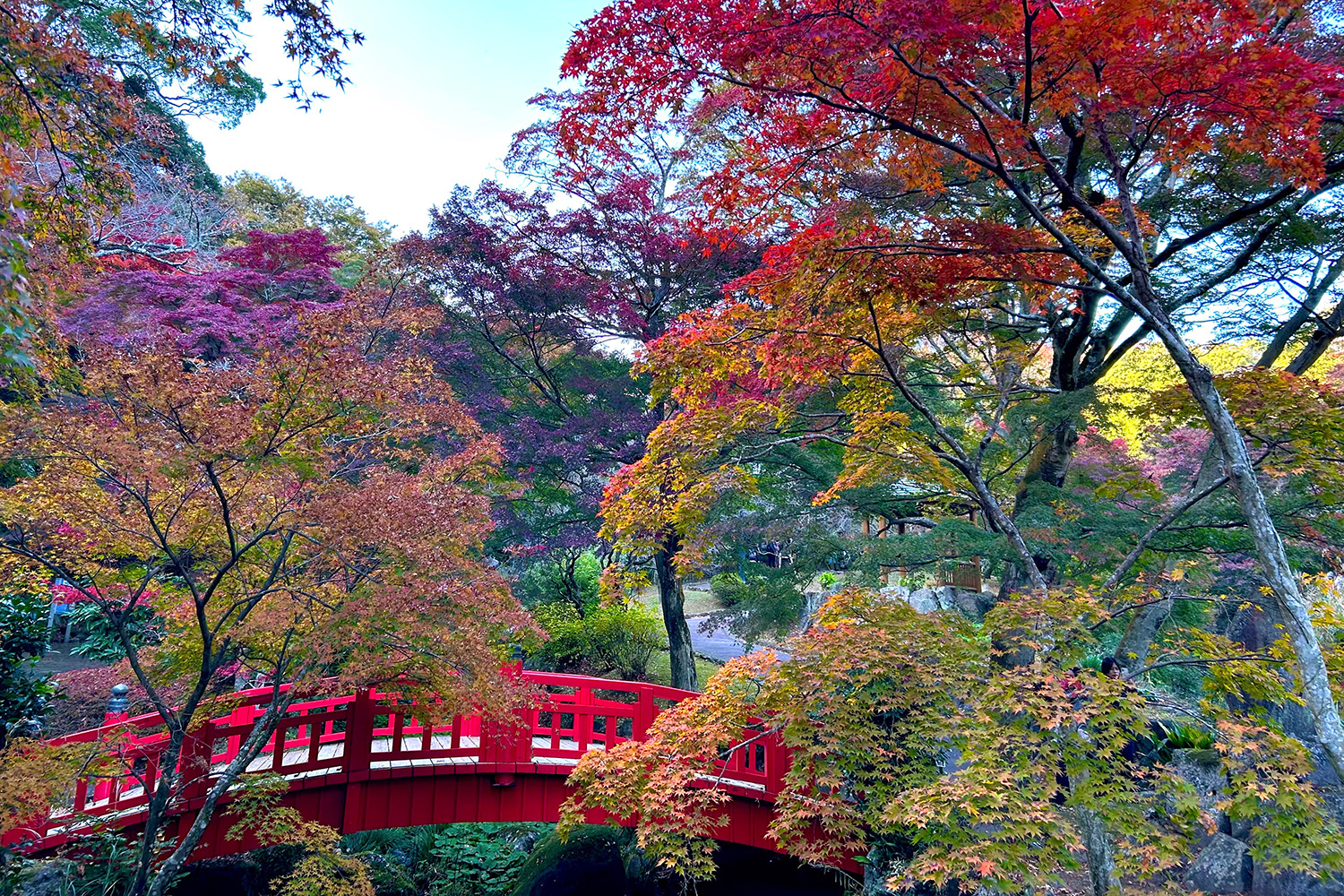 日本一遅い紅葉が自慢の熱海梅園！　今大人気観光地熱海で紅葉狩りをたっぷり楽しんで来ました
