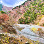 【画像】秋の渓谷ハイキング！　神奈川県山北町のユーシン渓谷で魅惑のユーシンブルーと紅葉美色三昧 〜 画像1