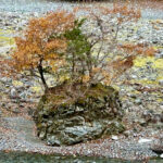 【画像】秋の渓谷ハイキング！　神奈川県山北町のユーシン渓谷で魅惑のユーシンブルーと紅葉美色三昧 〜 画像1