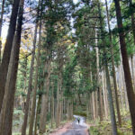 【画像】秋の渓谷ハイキング！　神奈川県山北町のユーシン渓谷で魅惑のユーシンブルーと紅葉美色三昧 〜 画像1