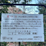 【画像】秋の渓谷ハイキング！　神奈川県山北町のユーシン渓谷で魅惑のユーシンブルーと紅葉美色三昧 〜 画像1