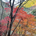 【画像】秋の渓谷ハイキング！　神奈川県山北町のユーシン渓谷で魅惑のユーシンブルーと紅葉美色三昧 〜 画像1