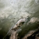 【画像】秋の渓谷ハイキング！　神奈川県山北町のユーシン渓谷で魅惑のユーシンブルーと紅葉美色三昧 〜 画像1