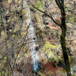 【画像】秋の渓谷ハイキング！　神奈川県山北町のユーシン渓谷で魅惑のユーシンブルーと紅葉美色三昧 〜 画像1