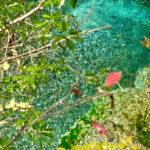 【画像】秋の渓谷ハイキング！　神奈川県山北町のユーシン渓谷で魅惑のユーシンブルーと紅葉美色三昧 〜 画像1